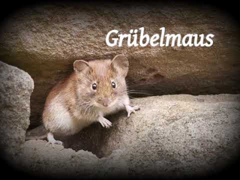 Wünsch dir den Arsch deines Nachbarn Wünsch dir den Arsch deines Nachbarn